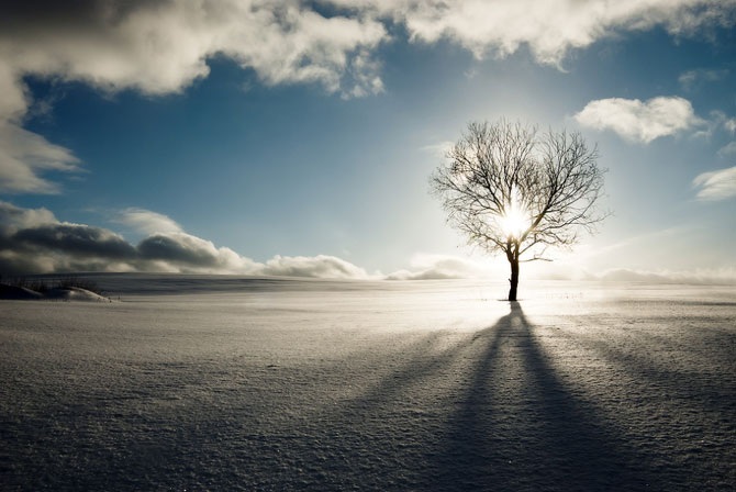 Дикая природа России 2012