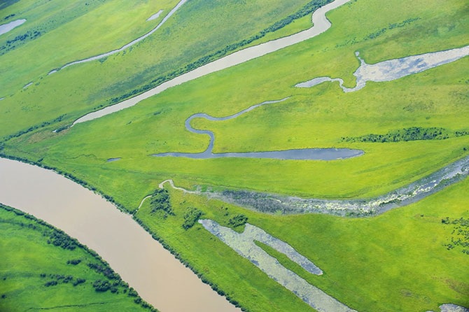 Дикая природа России 2012