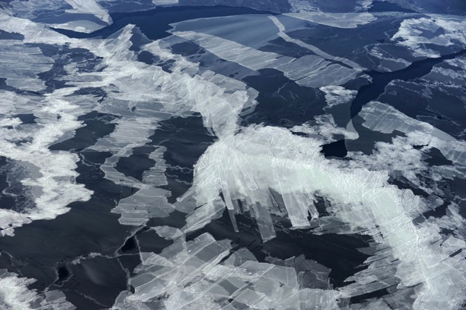 Дикая природа России 2012