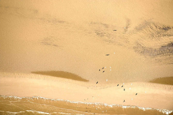 Дикая природа России 2012