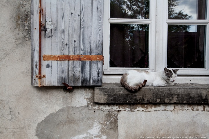 Путешествие по стране Басков