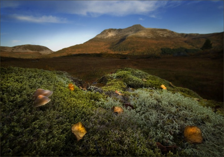 Красоты Норвегии от Йона Колбенсена