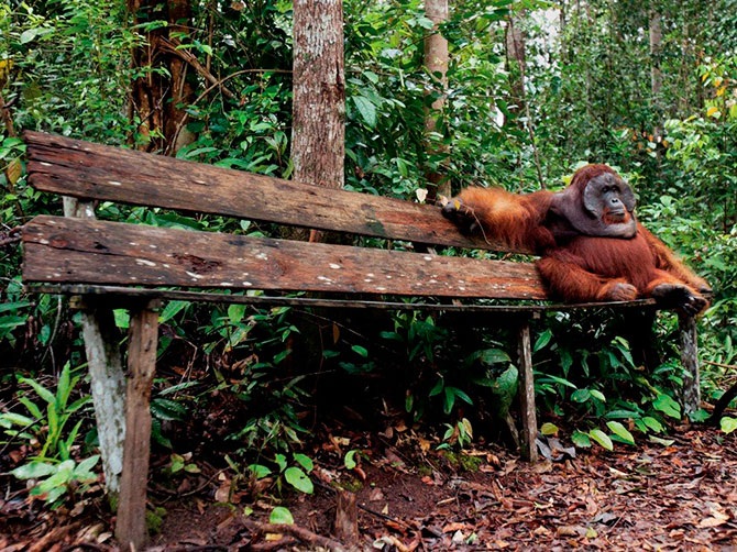 Лучшие фотографии National Geographic за сентябрь 2012