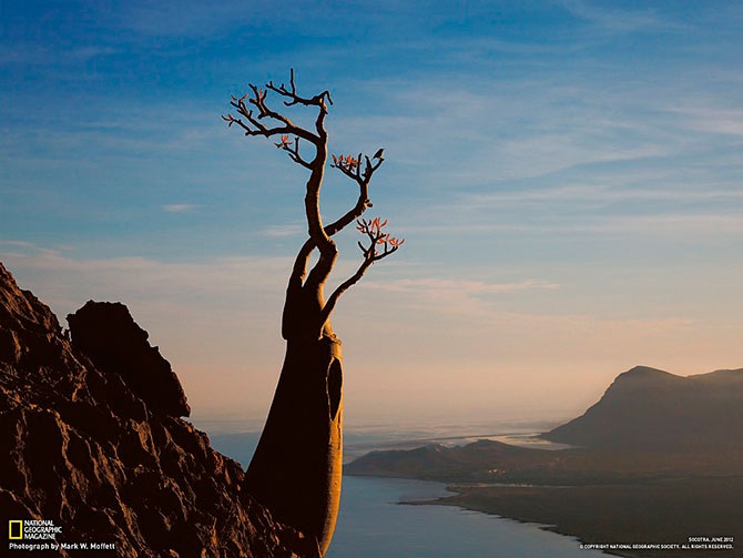 Лучшие фотографии National Geographic за сентябрь 2012