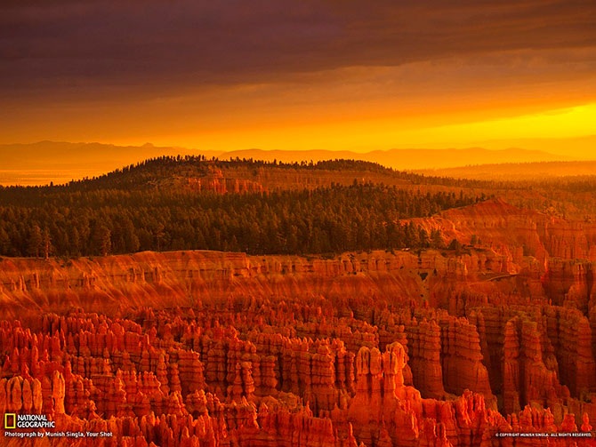 Лучшие фотографии National Geographic за сентябрь 2012