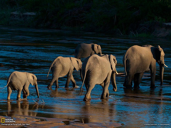 Лучшие фотографии National Geographic за сентябрь 2012