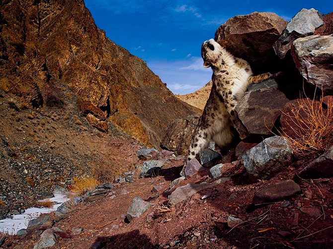 Лучшие фотографии National Geographic за сентябрь 2012