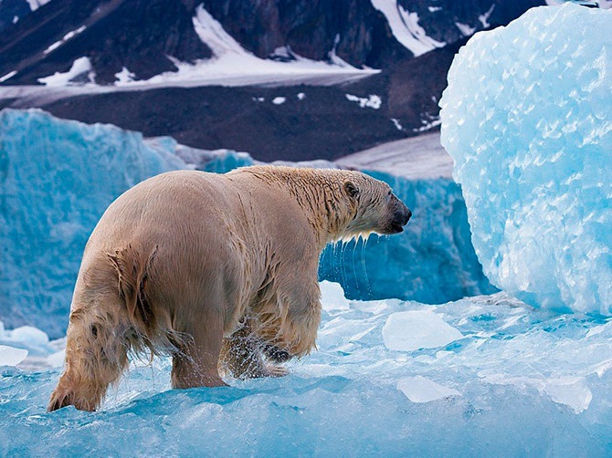 Лучшие фотографии National Geographic за сентябрь 2012