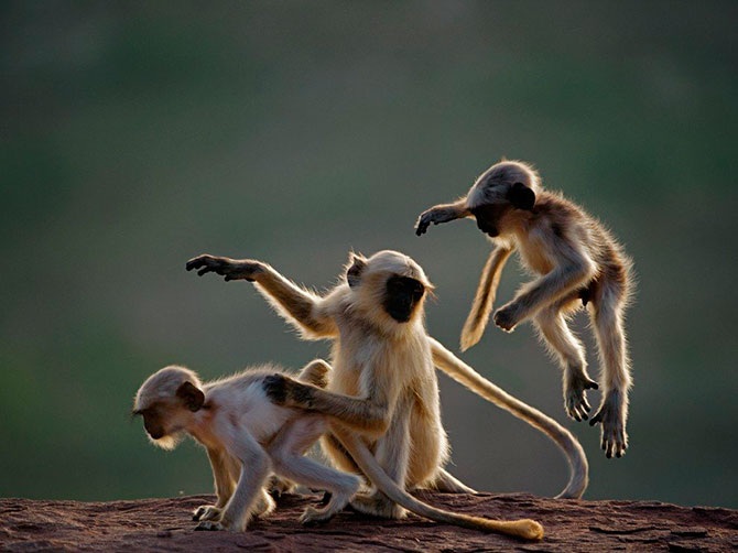 Лучшие фотографии National Geographic за сентябрь 2012