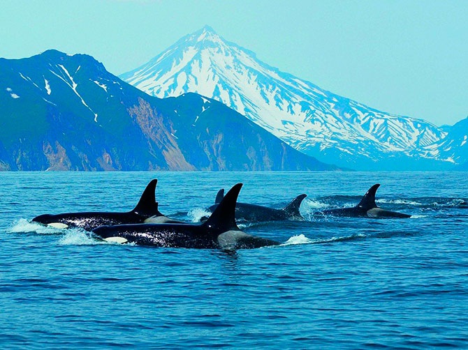 Лучшие фотографии National Geographic за сентябрь 2012