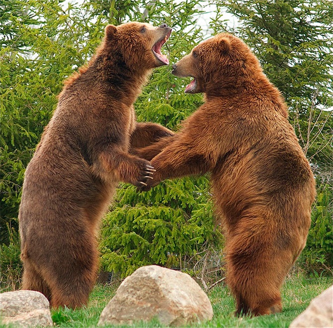 50 штатов в 50 фотографиях