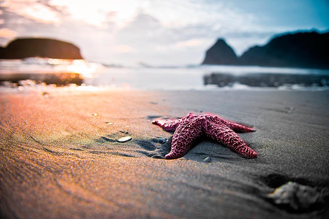 50 штатов в 50 фотографиях