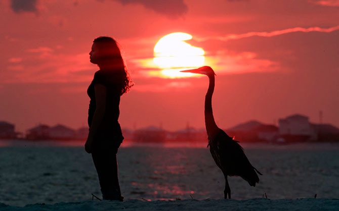 50 штатов в 50 фотографиях