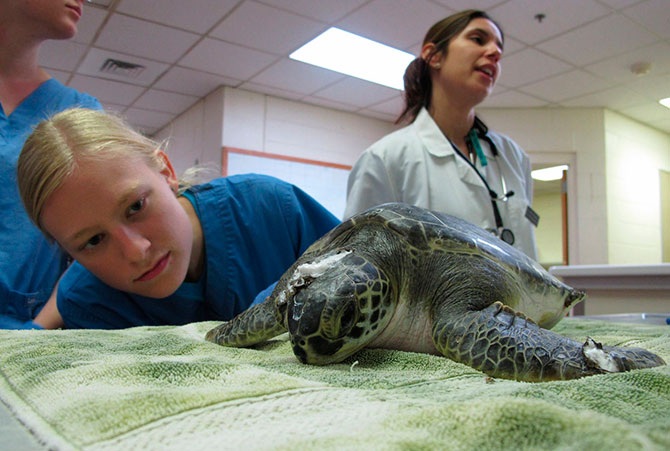 50 штатов в 50 фотографиях