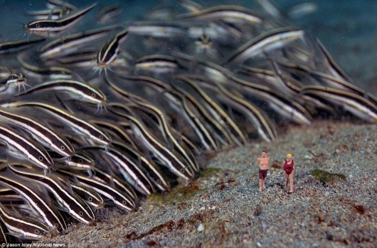 Подводная жизнь игрушек