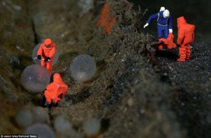 Подводная жизнь игрушек