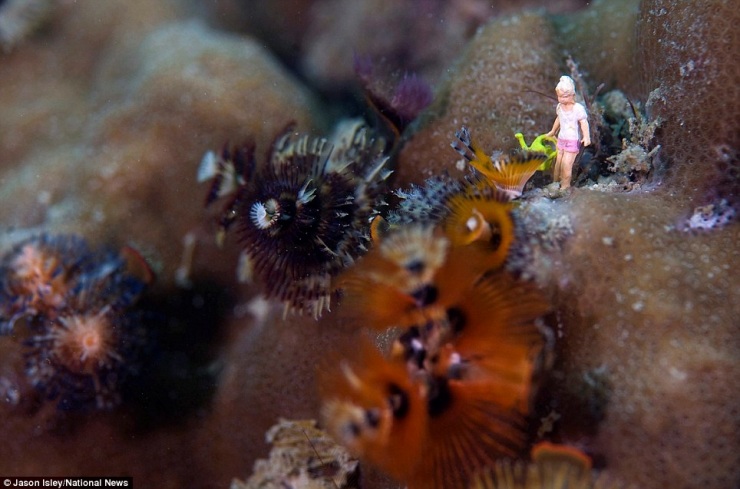 Подводная жизнь игрушек