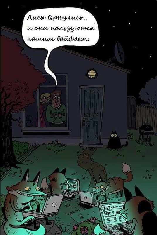 Несколько стадий зависимости от интернета (5 фото)