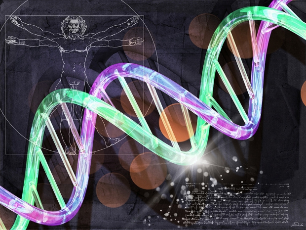 8 принципов питания, которые продлевают жизнь