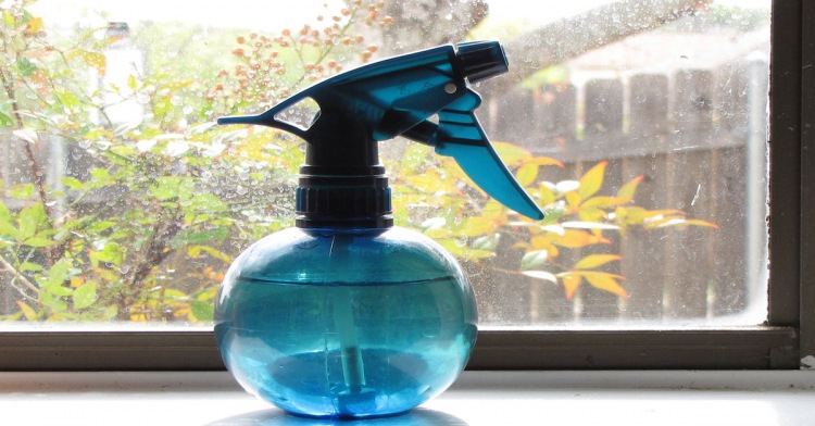 8 простых и дешевых трюков, которые помогут избавиться от насекомых