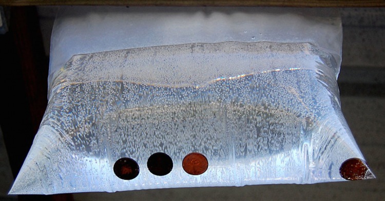 8 простых и дешевых трюков, которые помогут избавиться от насекомых