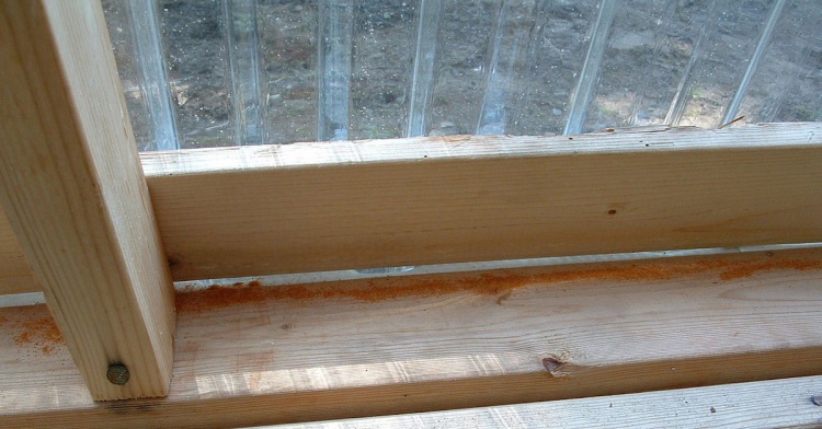 8 простых и дешевых трюков, которые помогут избавиться от насекомых