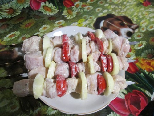 Любимые шашлычки