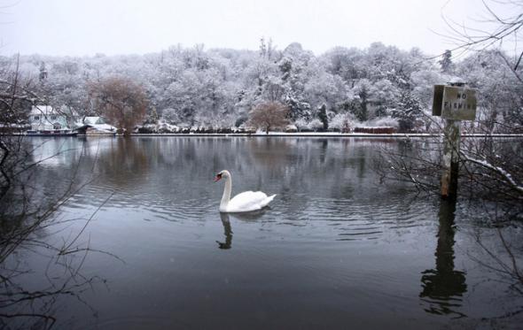 Январская погода в мире
