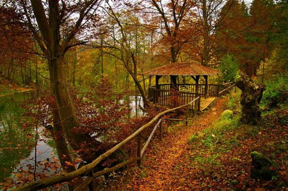 Осень: Золото и багрянец