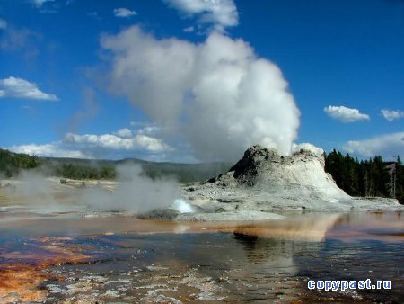 Животные-экстремалы