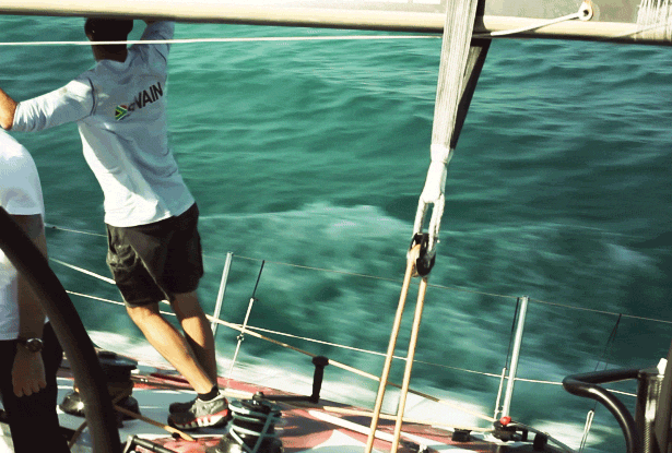 Новые анимированные фотографии